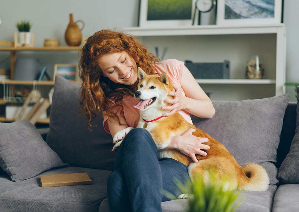 Pet Sitters, Pet Sitting (Camps Bay Luxury Villas)